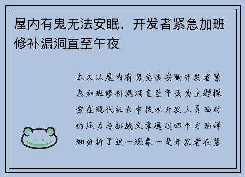 屋内有鬼无法安眠，开发者紧急加班修补漏洞直至午夜